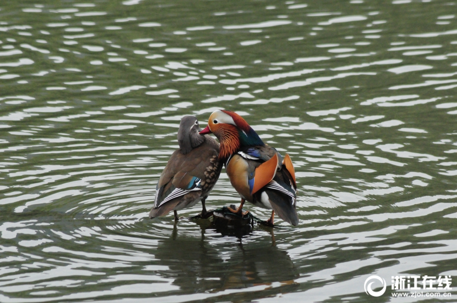 The government introduced new regulations to reduce food waste in restaurants