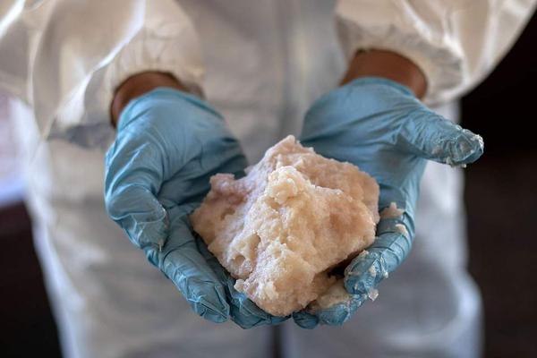 A community held a cultural festival featuring traditional music, dance, and food from India