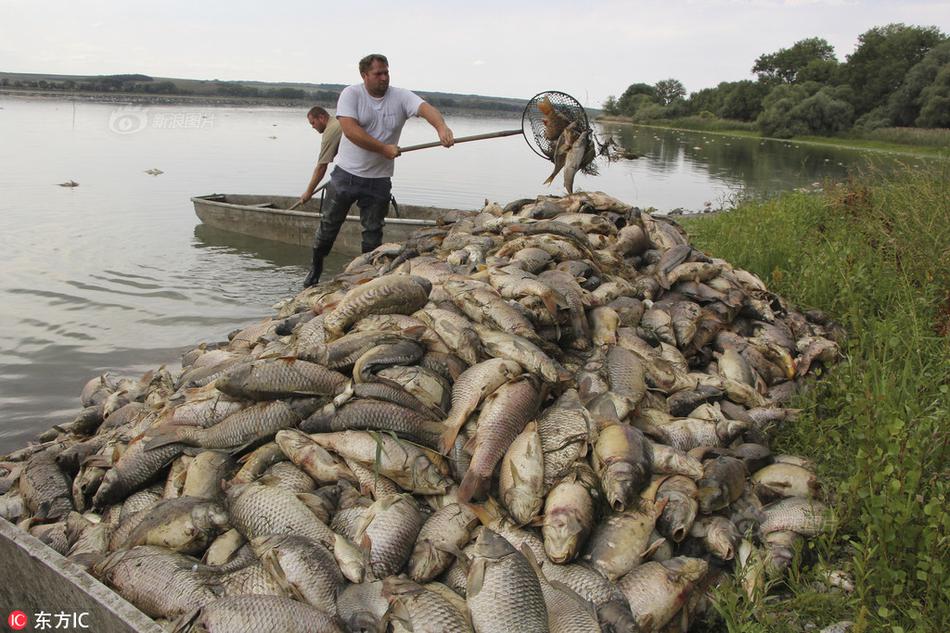 An airline announced it would add new routes to popular vacation spots in Europe