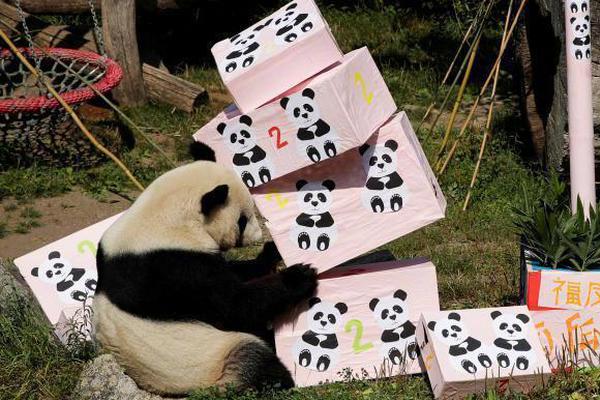 The government launched a program to provide free legal aid to immigrant families