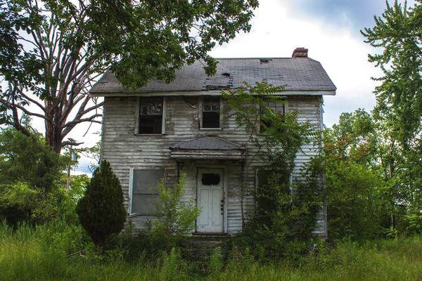 Police department launches app for reporting traffic hazards