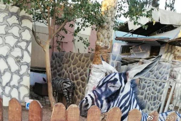 A soccer team advanced to the knockout stage of the international tournament after winning two of their three group matches