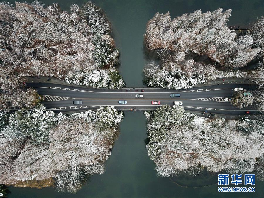 A fashion brand collaborated with a local artist to create a limited-edition clothing collection inspired by the city’s skyline