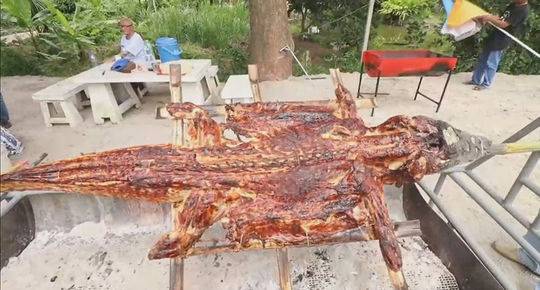 A charity organization provided free medical check - ups to elderly residents