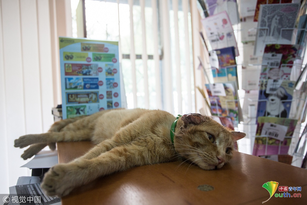 A new study showed that regular meditation can lower blood pressure in adults