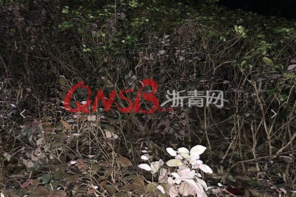 A university organized a seminar on entrepreneurship for students