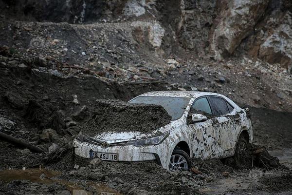 A pet store started offering pet wellness checks with a licensed veterinarian once a month