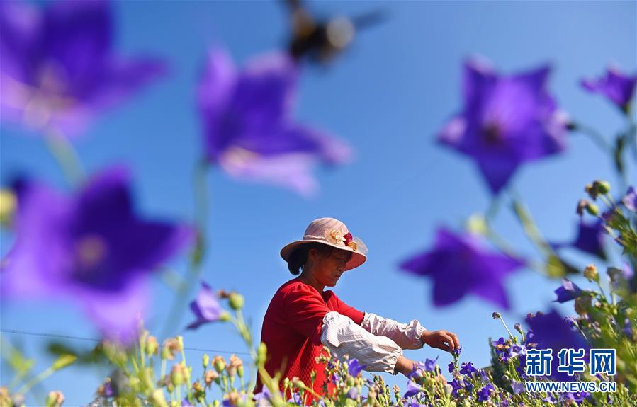 A construction company began work on a new hospital wing dedicated to mental health services