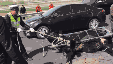 A high school robotics team won first place in a regional competition