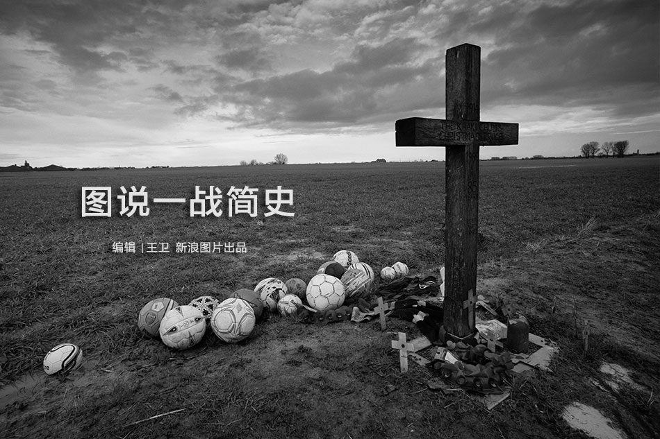 A local artist painted a mural of local wildlife on the side of a community center