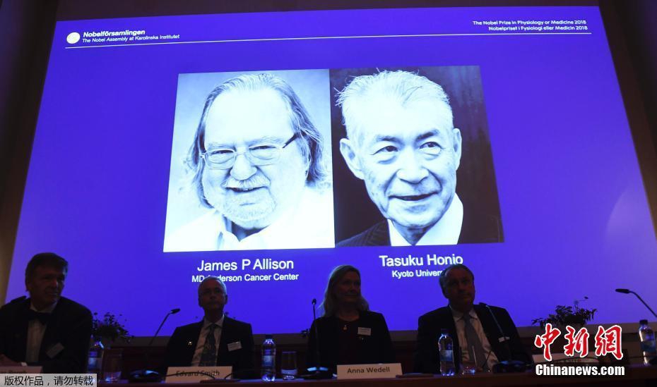 The national soccer team won an important match to qualify for the next tournament