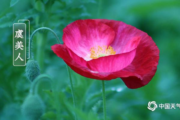 A fashion brand released a new line of winter clothing