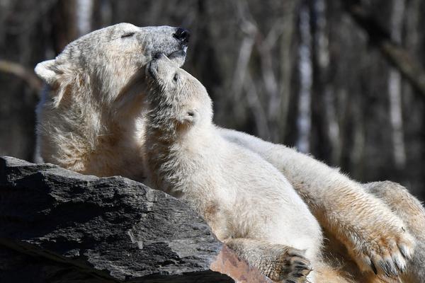 A government program helped small businesses adopt digital technology