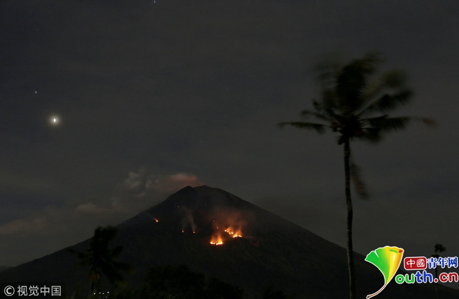 A restaurant introduced a weekend brunch menu with vegan pancakes and avocado toast