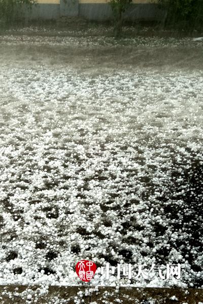 A small business owner started a blog about their industry that gained 5000 followers