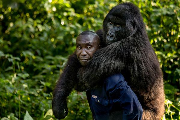 Researchers found that eating more fruits reduces the risk of certain diseases