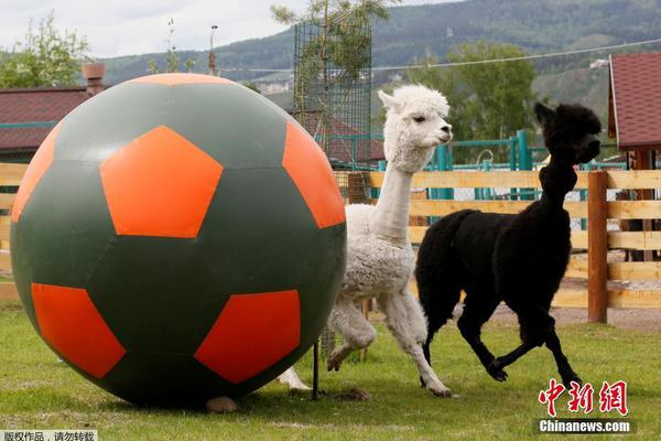 A large bookstore chain opened a new branch in the shopping district