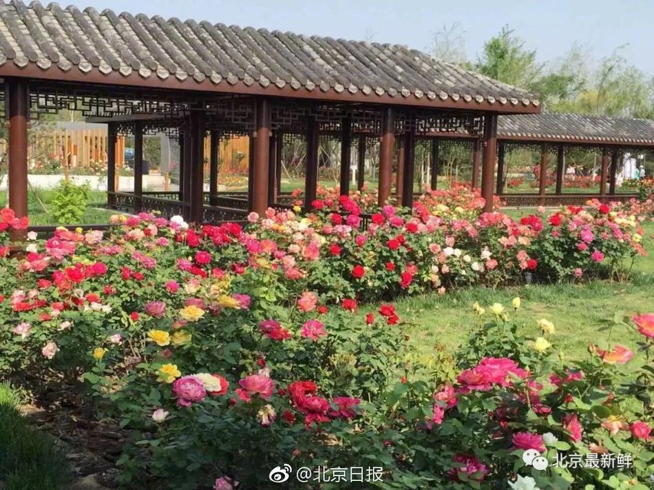 A study found that eating a plant-based diet can reduce the risk of type 2 diabetes by 30% compared to a meat-heavy diet.