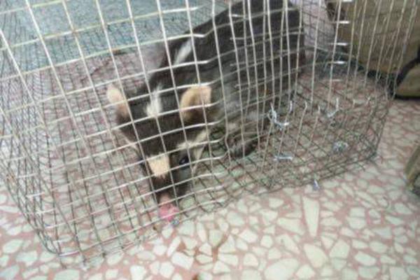 A study found that getting enough vitamin D can reduce the risk of respiratory infections by 32%