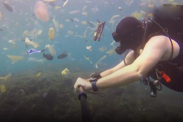 Weather conditions forced the cancellation of a major outdoor food festival over the weekend