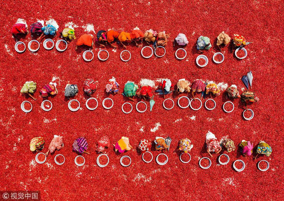 A coffee shop started using coffee grounds to fertilize plants in its outdoor seating area