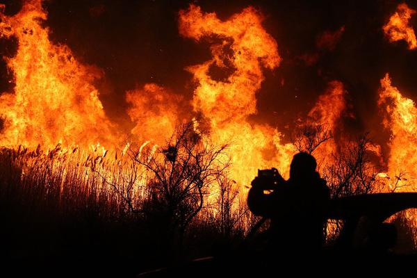 Research indicates that 7-8 hours of sleep improves decision-making skills