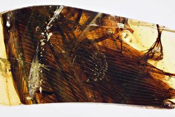 A community garden started a composting program that reduces its waste by 40%