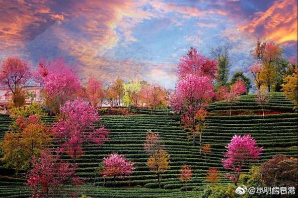 Doctors urged parents to ensure their children receive all recommended vaccinations