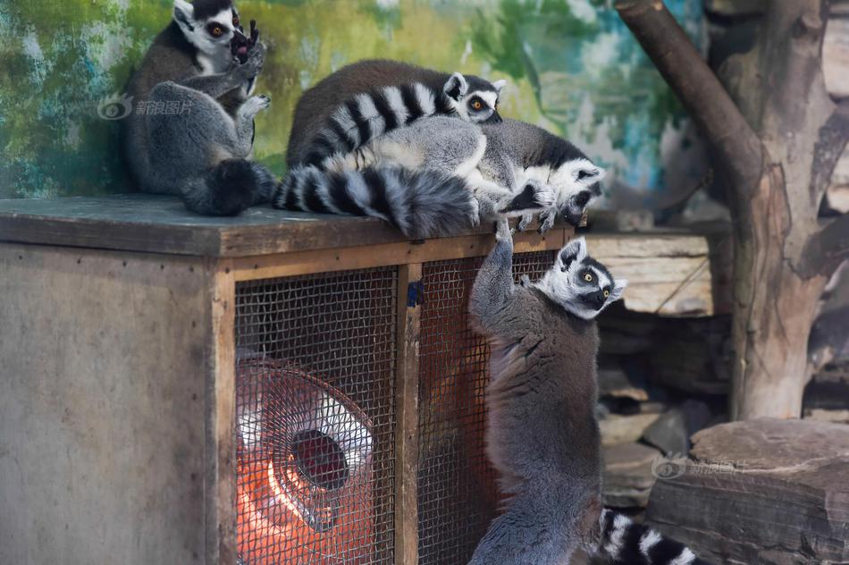 A software company released a photo-editing app with filters designed for social media