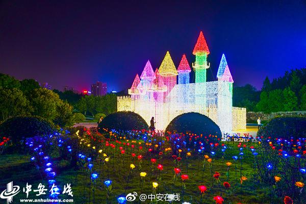 The national rugby team won the regional championship