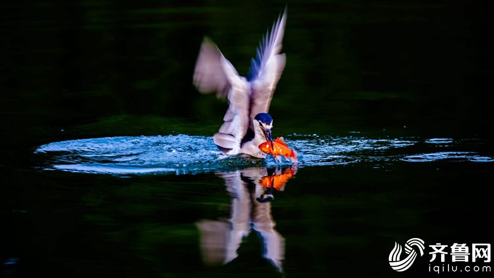 A local school district announced it will provide free meals to all students next year, regardless of family income.