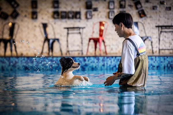 An international organization donated medical supplies to countries facing shortages