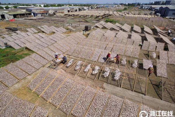 A severe hailstorm damaged crops and vehicles in a farming community
