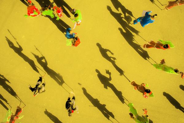 A team of marine biologists studied the migration patterns of whales in the Atlantic Ocean