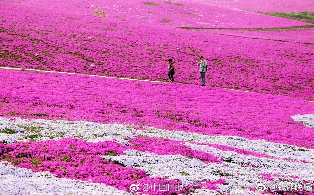 A retail giant raised its hourly wage to $20 benefiting over 35000 employees nationwide