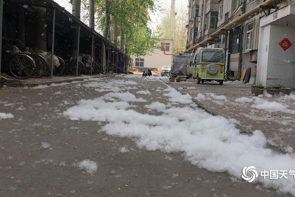 A museum hosted a special exhibit on ancient Egyptian history with artifacts on loan from overseas