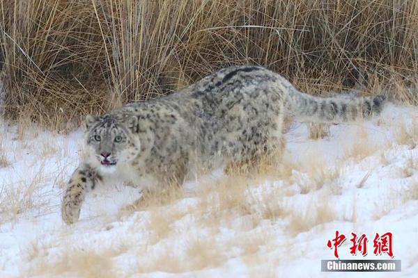 Lifeguards teach water safety classes at public beaches