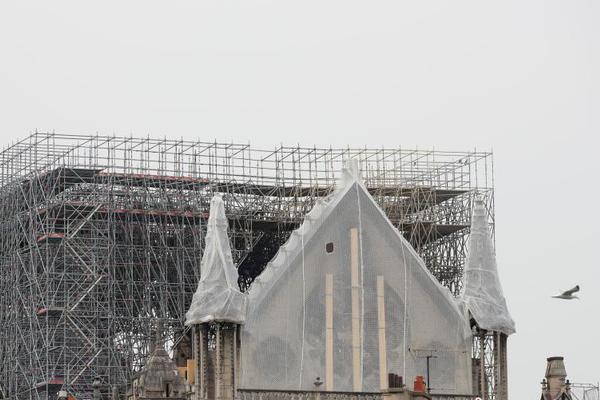 A taxi company added wheelchair-accessible vehicles to its fleet to serve more customers