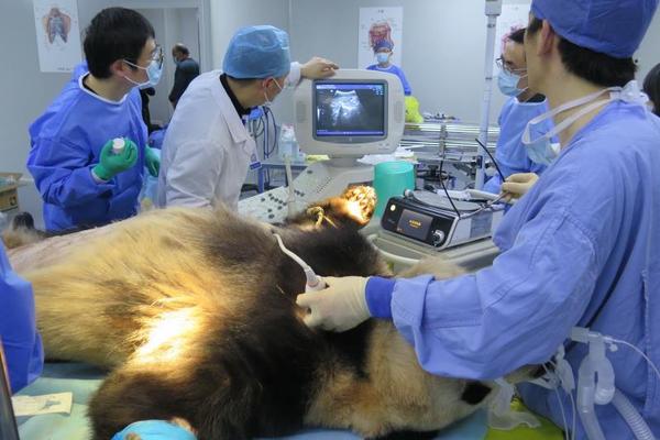 A new study revealed that air pollution can affect cognitive function in older adults