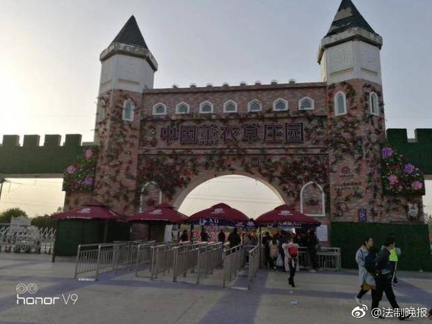 A pet shelter organized a adoption event that found homes for 75 animals in one day