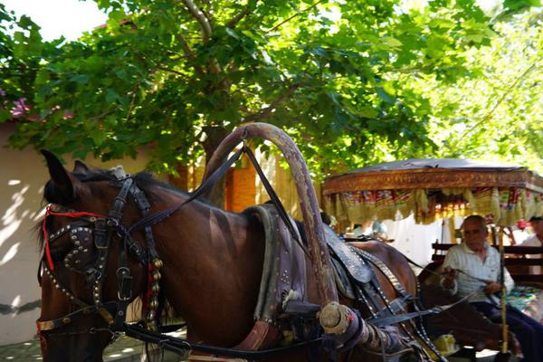 A study showed that eating dark chocolate in moderation improves blood flow and cognitive function