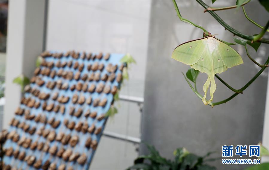 A severe snowstorm hit the northern region, closing schools and highways and disrupting public transportation.