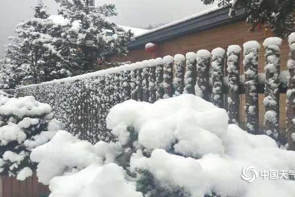 A charity organization distributed warm clothing to homeless individuals during winter