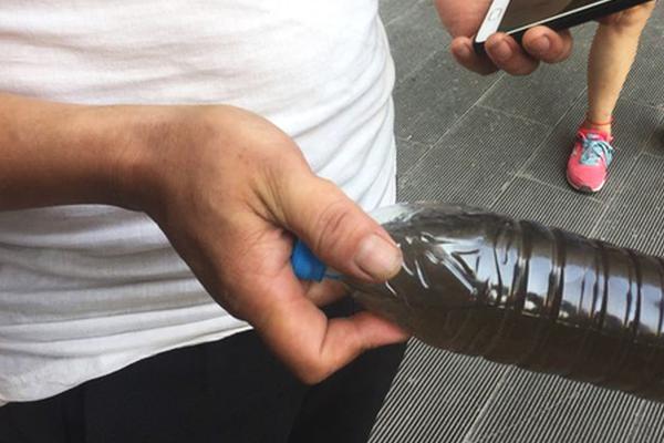 Volunteers planted over 5000 trees in a national park as part of a reforestation project