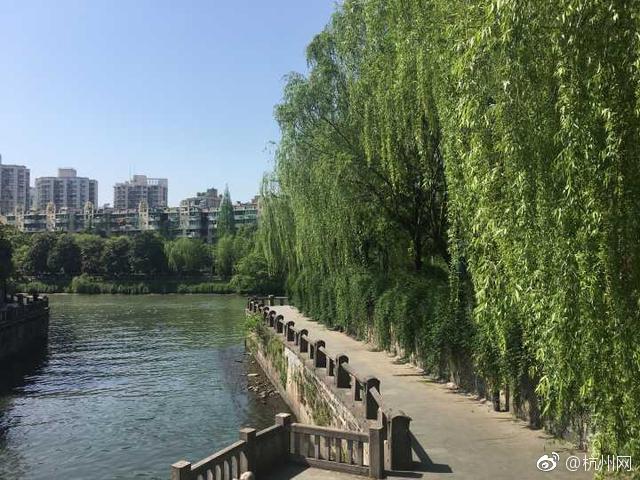 The national basketball team lost their semi-final match in the international tournament ending their bid for the championship