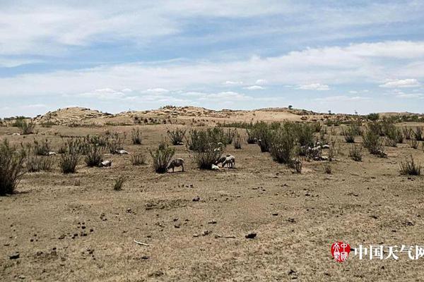 A tech company announced it would reduce its carbon footprint by 50% over the next five years