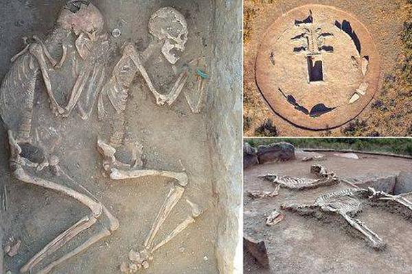 Local farmers reported a 25% increase in tomato yields due to a new organic fertilizer