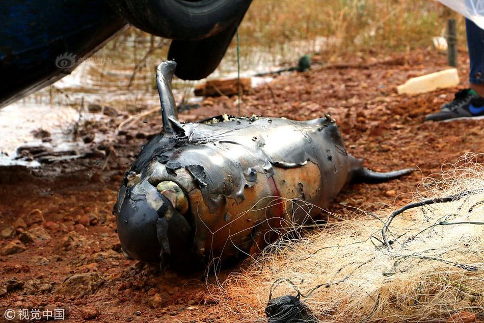 Study finds that working in teams increases creativity in workplace projects