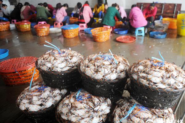 A wildfire in the forest area was contained by firefighters after several days