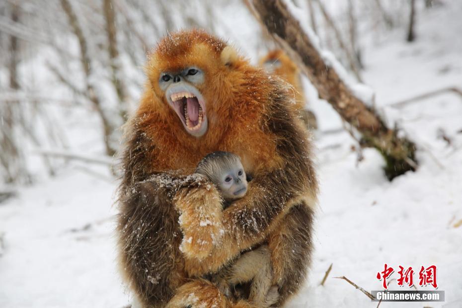 A clothing brand started selling its products in international markets